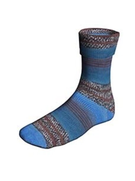 Lang Yarns Super Soxx Color 6 Ply - Train Soxx