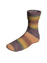 Lang Yarns Super Soxx Color 6 Ply - Train Soxx