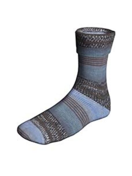 Lang Yarns Super Soxx Color 6 Ply - Train Soxx