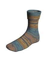 Lang Yarns Super Soxx Color - Comet Soxx