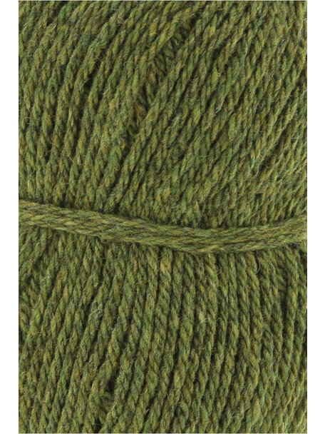 Lang Yarns Donegal WS - 0097
