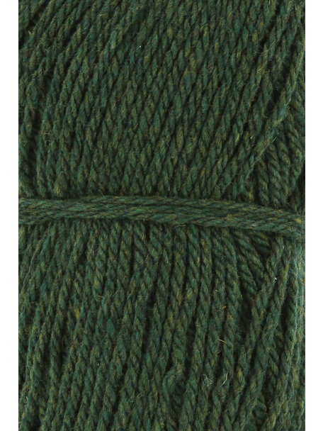 Lang Yarns Donegal WS - 0017