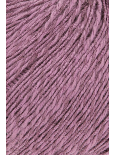 Wooladdicts Pride - 0145