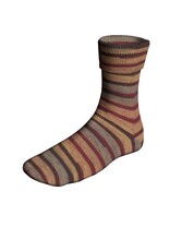 Lang Yarns Super Soxx Color - Painterly Soxx