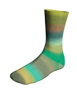 Lang Yarns Twin Soxx Merino - BiotopeSoxx