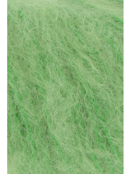 Wooladdicts Honor - 0016