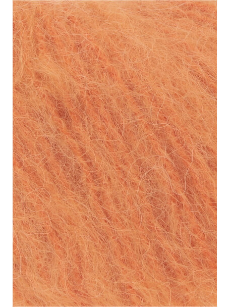 Wooladdicts Honor - 0059