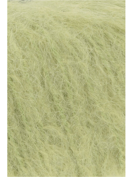 Wooladdicts Honor - 0117