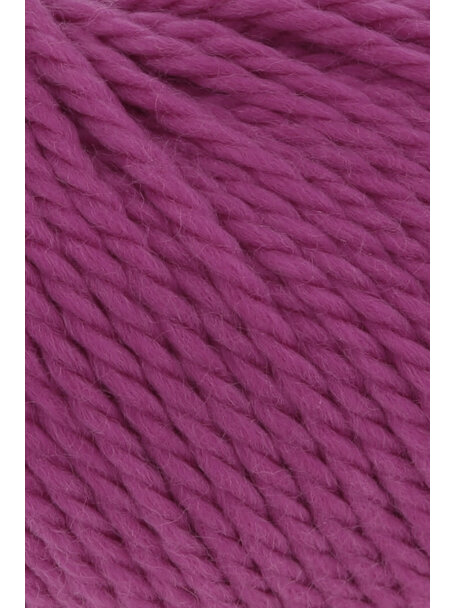 Wooladdicts Glory - 0085