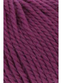 Wooladdicts Glory - 0066