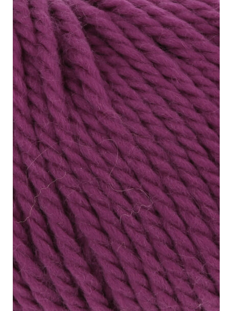 Wooladdicts Glory - 0066