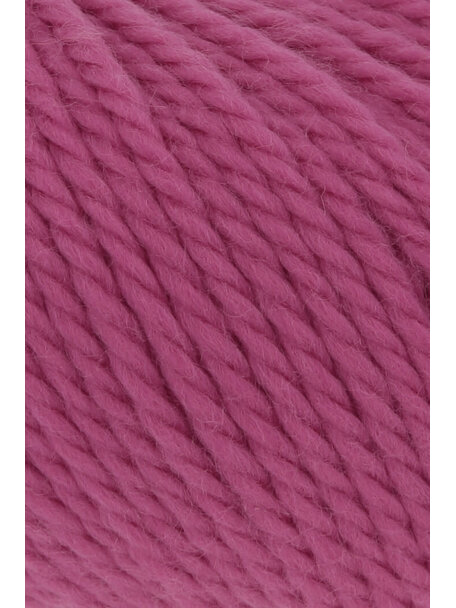 Wooladdicts Glory - 0065
