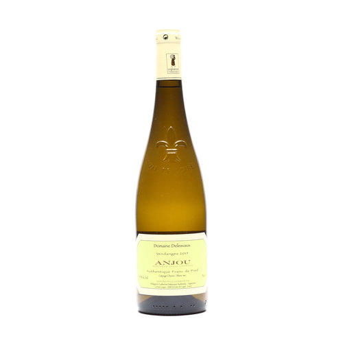 Delesvaux Delesvaux - Anjou Blanc Franc de Pied (Authentique) dry 2015