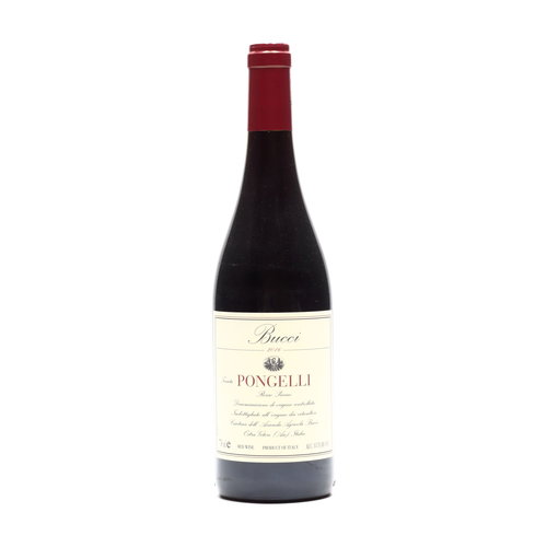 Bucci Bucci - Rosso Piceno Pongelli 2016 Bucci Bucci - Rosso Piceno Pongelli 2016