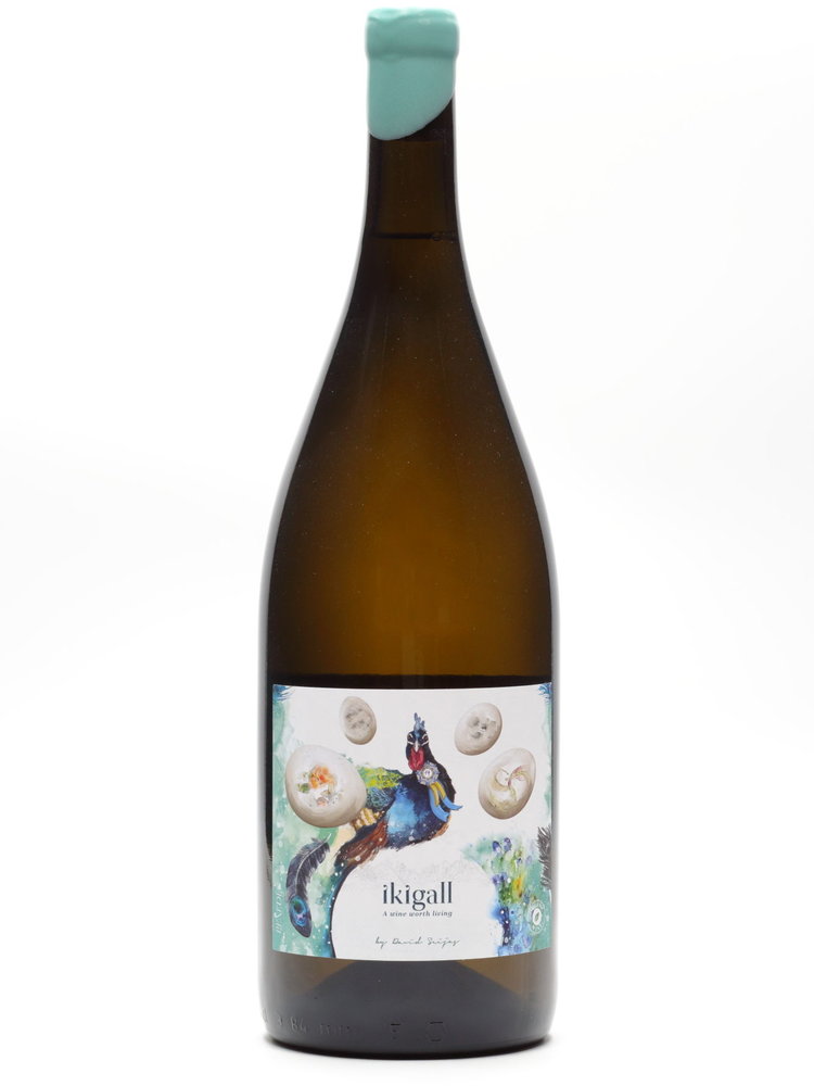 Gallina de Piel Wines Gallina de Piel Wines - Ikigall 2020 MAGNUM