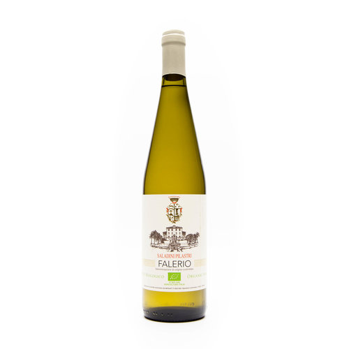 Saladini Pilastri Saladini-Pilastri - Falerio Bianco D.O.C. 2021 Saladini Pilastri Saladini-Pilastri - Falerio Bianco D.O.C. 2021