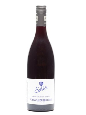 Schlör Weingut Schlör - Schwarzriesling 2023