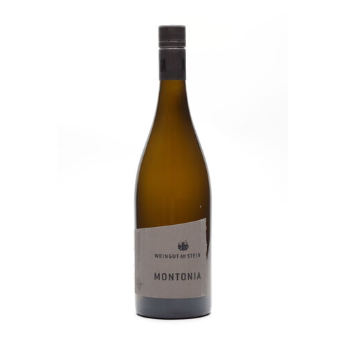 Am Stein Am Stein - MONTONIA Spätburgunder trocken 2018