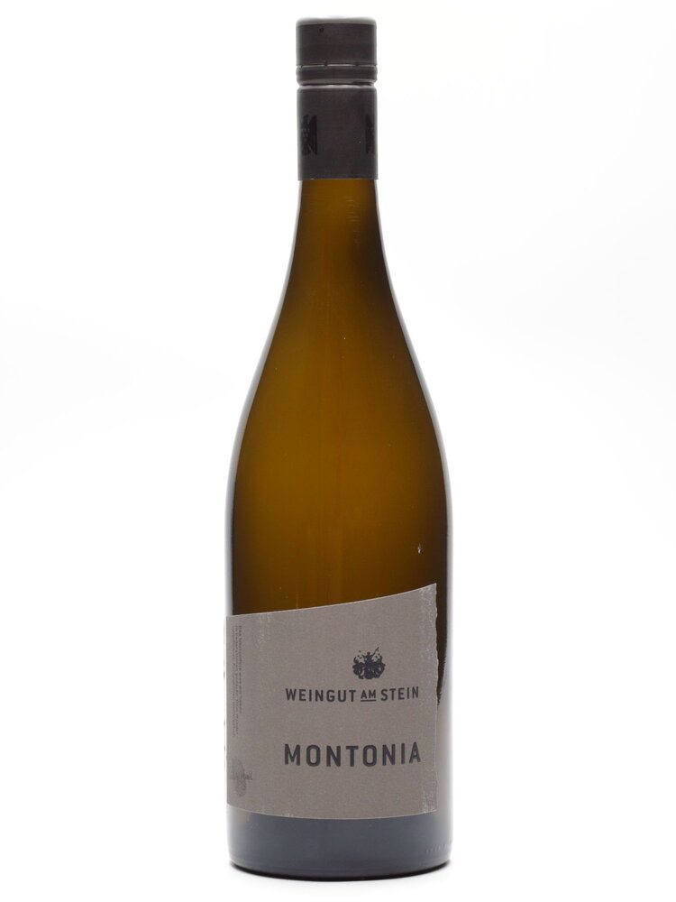 Am Stein Am Stein - MONTONIA Spätburgunder trocken 2018