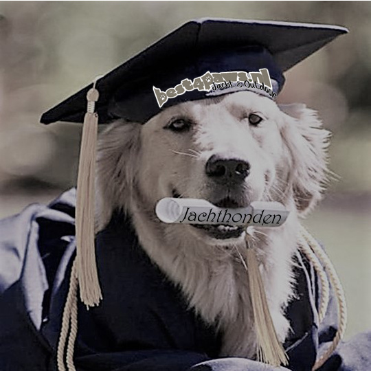 Jachthonden training 2023