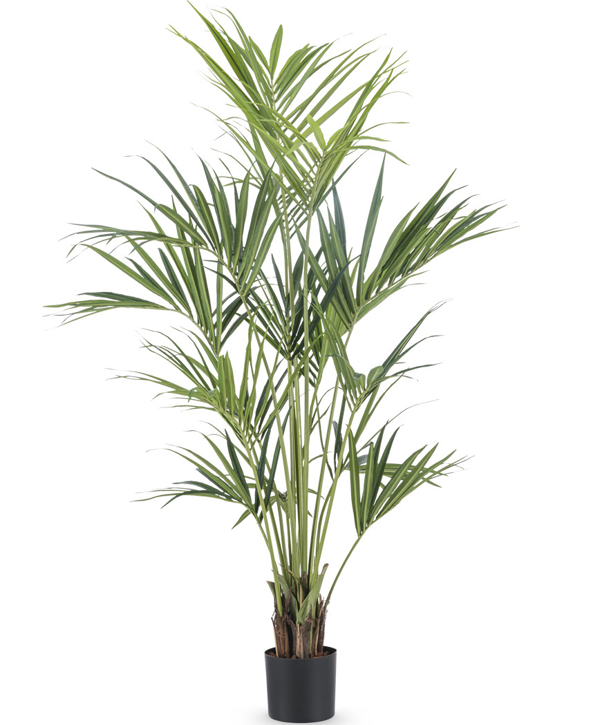 Künstliche Palme Kentia 1.90m | Easyplants - Easyplants