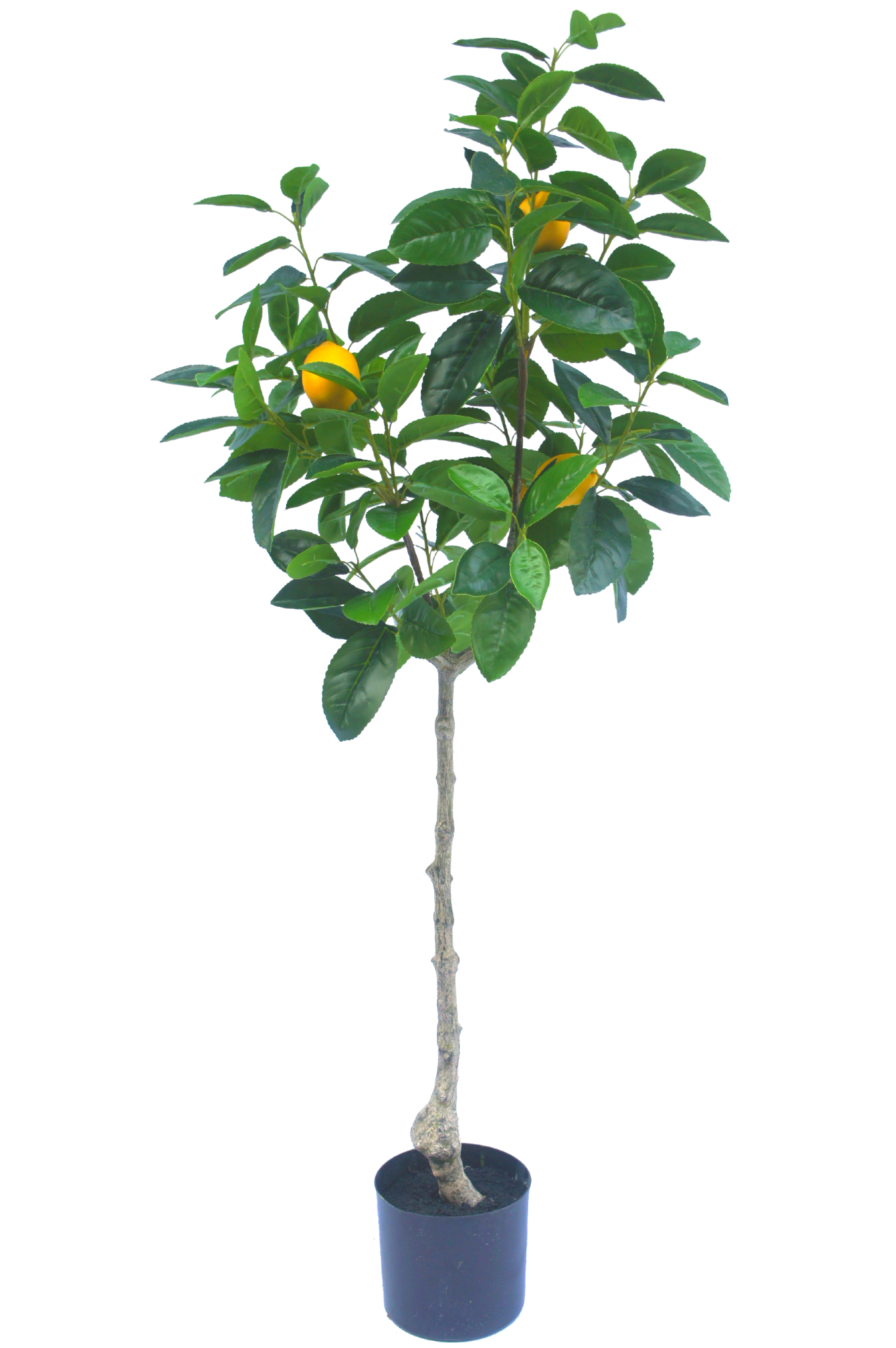- Easyplants 120 Zitronenbaum Künstlicher cm