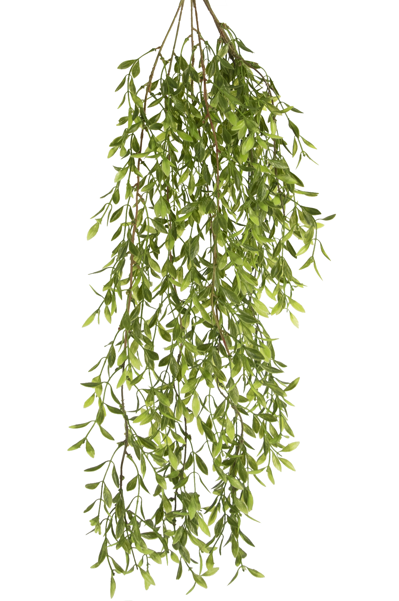 Künstliche Hängepflanze Weidenblatt 85 cm - Easyplants