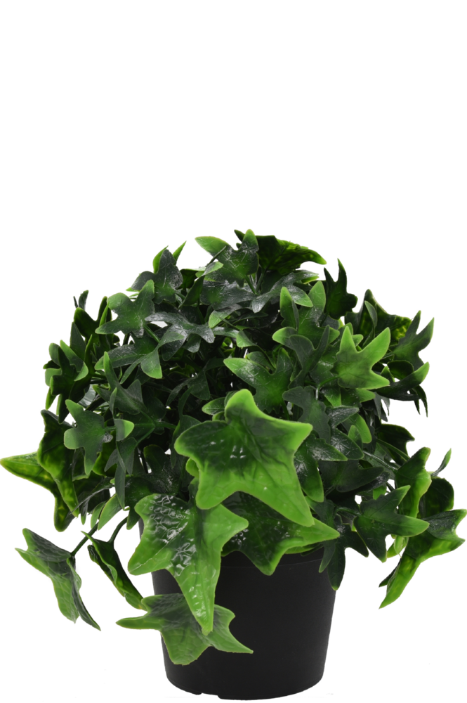 Künstlicher Efeu im Topf 20 cm UV Easyplants