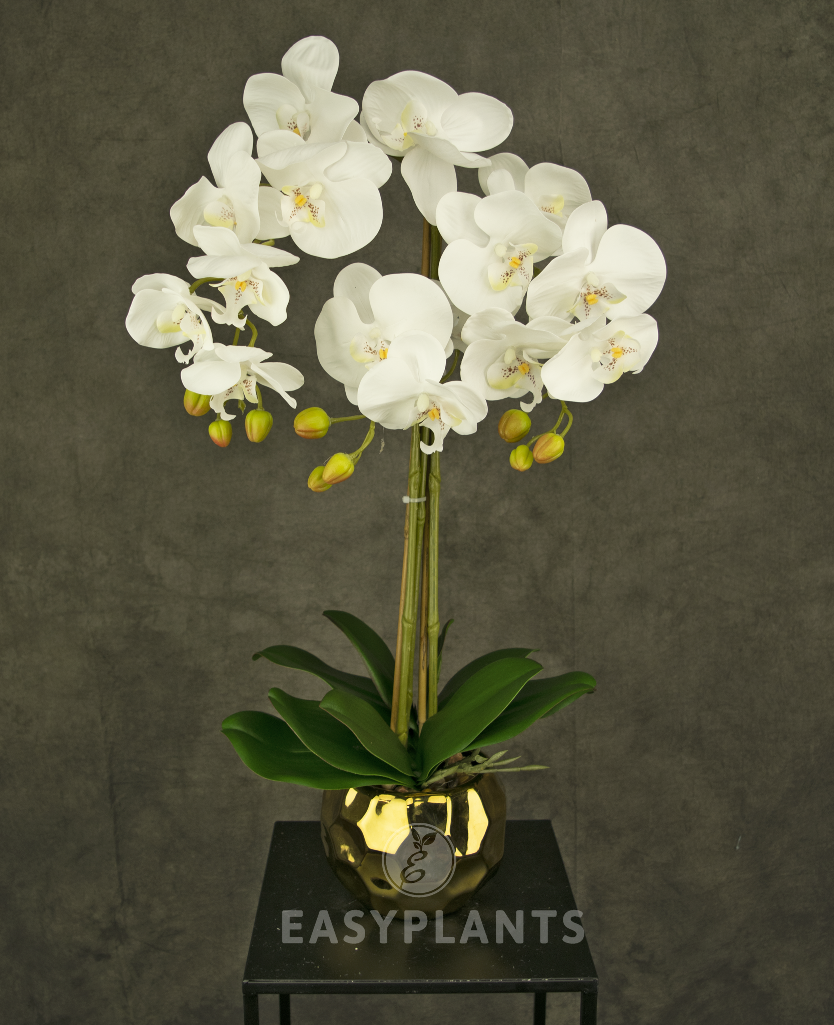 Künstliche Orchidee 52 cm weiß im goldenen Topf - Easyplants
