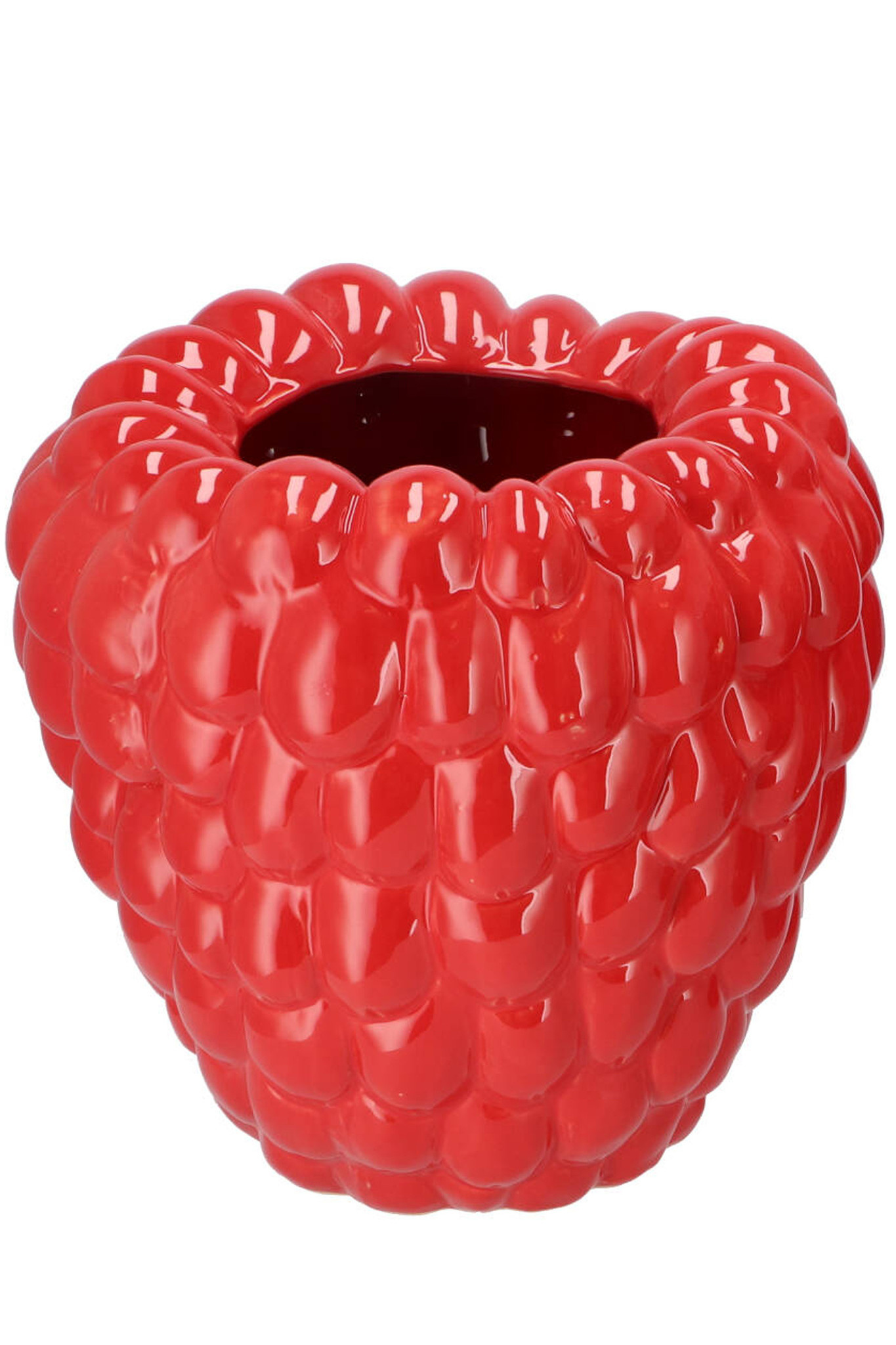 Frambozen vaas fuchsia Ø30 x 30 cm Easyplants