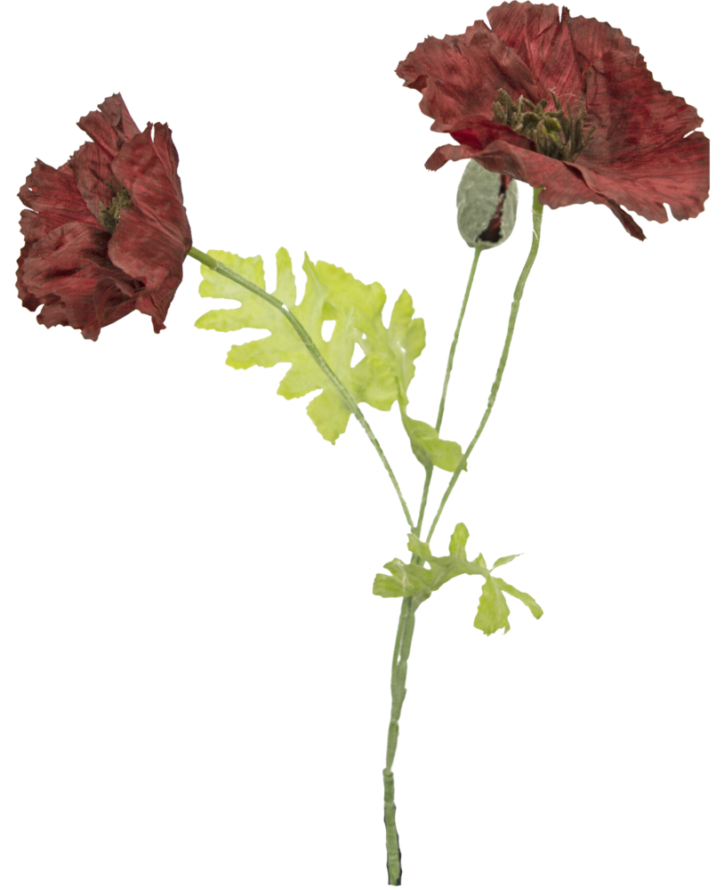 Künstliche Blume Mohn 73 cm bordeaux - Easyplants