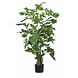 Kunstig plante Fiskehalepalme 190 cm Kunstig plante Fiskehalepalme 190 cm