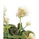 Kunstig geranium hvid 40 cm Kunstig geranium hvid 40 cm