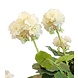 Kunstig geranium hvid 40 cm Kunstig geranium hvid 40 cm