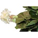 Kunstig geranium hvid 40 cm Kunstig geranium hvid 40 cm