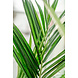 Kunstig palme Kentia 190 cm Kunstig palme Kentia 190 cm