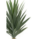 Kunstig plante Yucca 100 cm UV Kunstig plante Yucca 100 cm UV