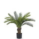 Kunstig plante Cycad palm 80 cm Kunstig plante Cycad palm 80 cm