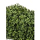 Kunstig buksbomhæk 70x20x25 cm UV Kunstig buksbomhæk 70x20x25 cm UV