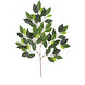 Kunstigt blad Ficus Folia Brandhæmmende 50 cm Kunstigt blad Ficus Folia Brandhæmmende 50 cm
