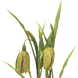 Kunstig plante Fritillaris 25 cm grøn Kunstig plante Fritillaris 25 cm grøn