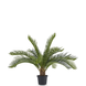 Kunstig palme Baby Cycus 45 cm Kunstig palme Baby Cycus 45 cm