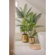 Kunstig plante Phoenix 170 cm Kunstig plante Phoenix 170 cm