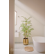 Kunstig plante Chamaedorea-palme 180 cm Kunstig plante Chamaedorea-palme 180 cm