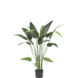 Kunstig plante Heliconia 110 cm Kunstig plante Heliconia 110 cm