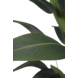 Kunstig plante Heliconia 180 cm Kunstig plante Heliconia 180 cm
