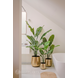 Kunstig plante Strelitzia Nicolai Deluxe 165 cm Kunstig plante Strelitzia Nicolai Deluxe 165 cm