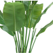 Kunstig plante Strelitzia Nicolai Deluxe 165 cm Kunstig plante Strelitzia Nicolai Deluxe 165 cm