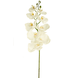 Kunstig orkidé Real Touch Deluxe 105 cm hvid/gul Kunstig orkidé Real Touch Deluxe 105 cm hvid/gul