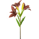 Kunstig blomst asiatisk lilje 66 cm lilla Kunstig blomst asiatisk lilje 66 cm lilla